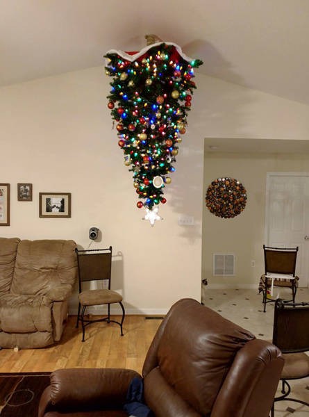 Креативные способы защиты новогодних украшений от домашних питомцев (20 фото)