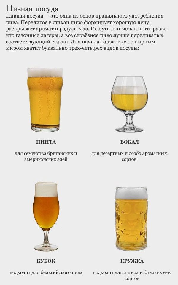 Как научиться выбирать хорошее пиво? (16 фото)