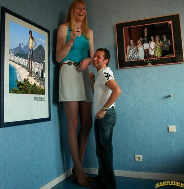 Высокие девушки (25 фото)