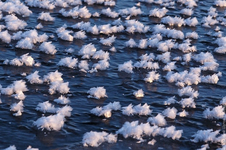 Необычное природное явление на Валдайском озере (4 фото)