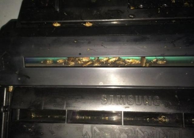 Принтер перестал печатать (5 фото)