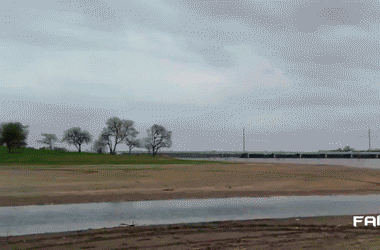 Прикольные гифки (20 гифок) 25.12.2018