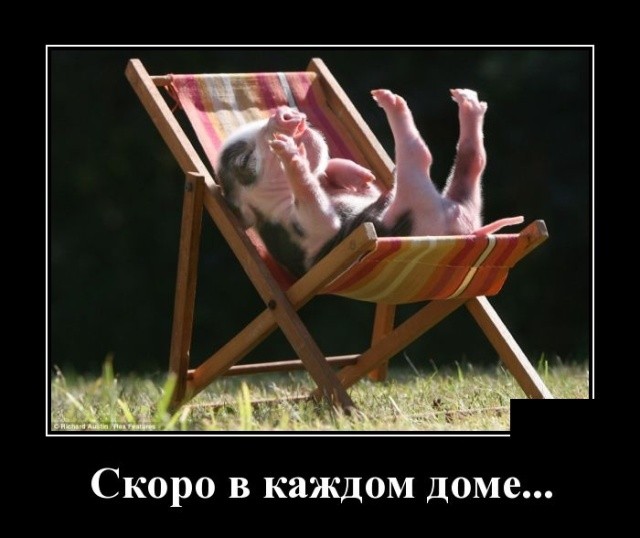 Демотиваторы (30 фото) 25.12.2018