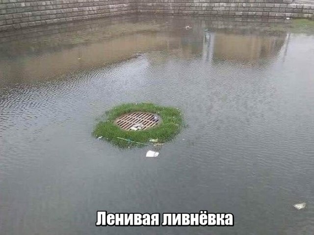 Возможно только в России (17 фото)