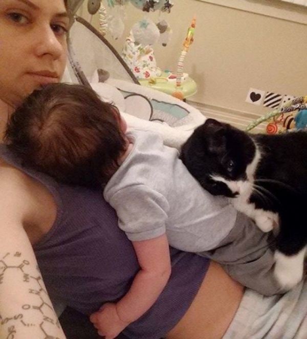 Кошка стала няней родившегося у её хозяйки малыша (5 фото)