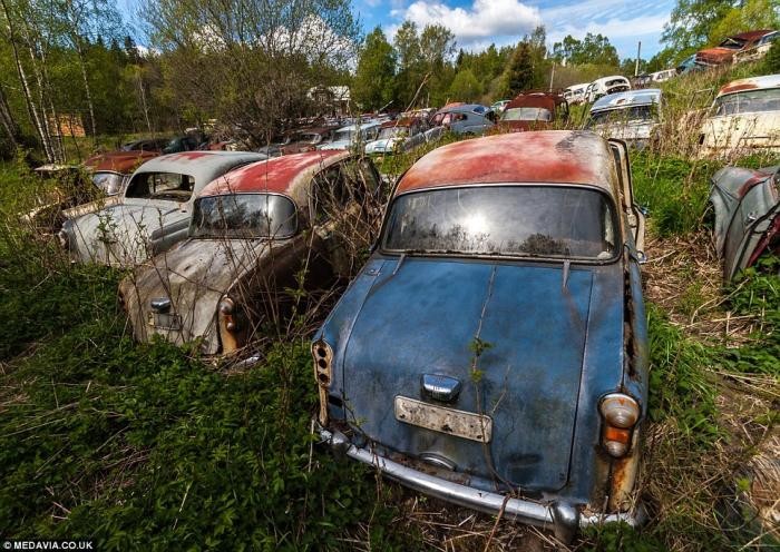 Шведское кладбище автомобилей (15 фото)