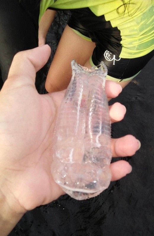 Жительница Филиппин нашла на берегу странное существо (5 фото)