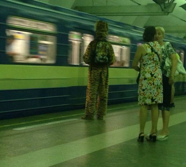 Модники и модницы (31 фото)