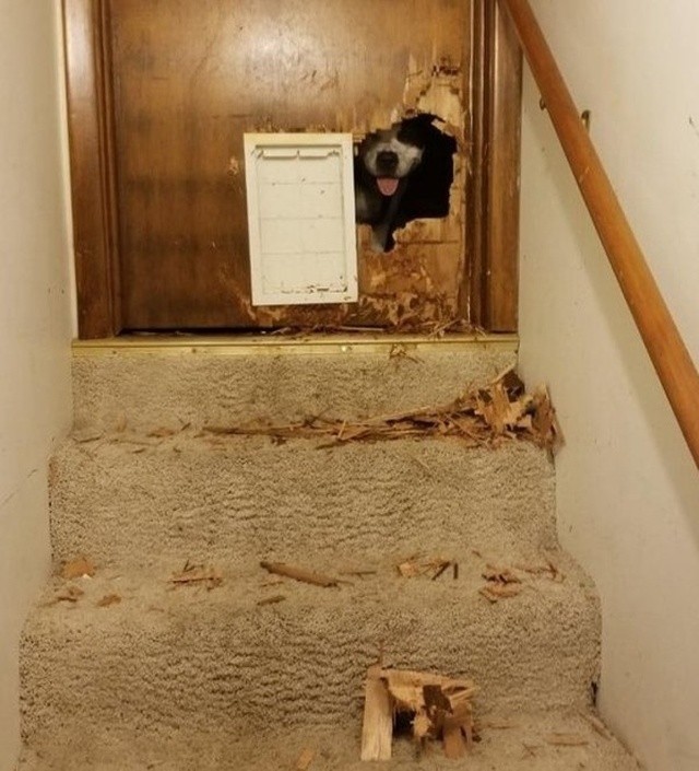 Фейлы и неприятности (24 фото)