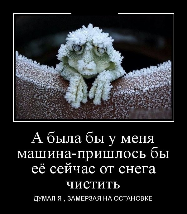 Демотиваторы (30 фото) 21.01.2019