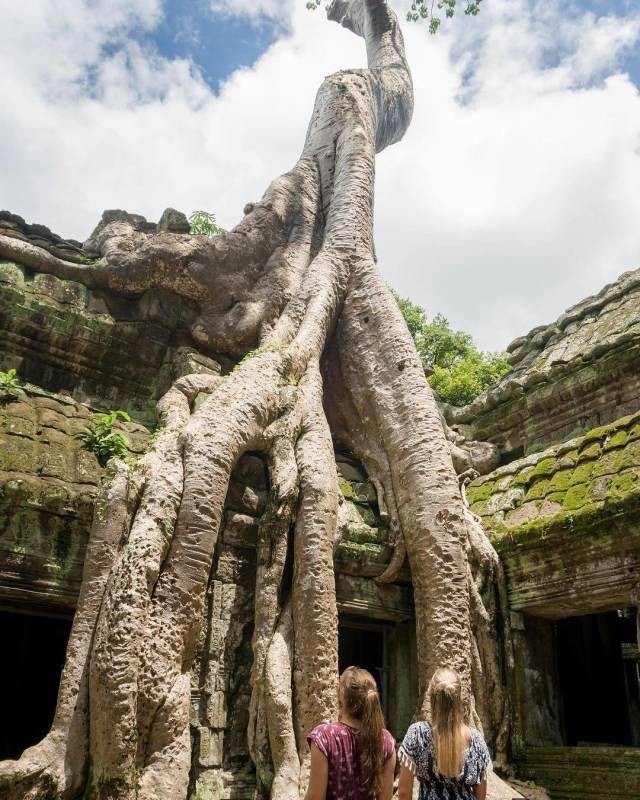 Яркие снимки вместо тысячи слов (41 фото)