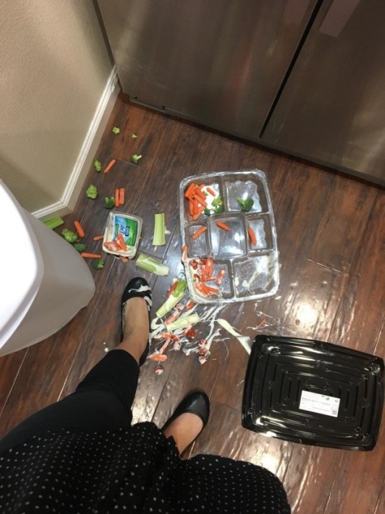 Когда день не задался с самого утра (28 фото)