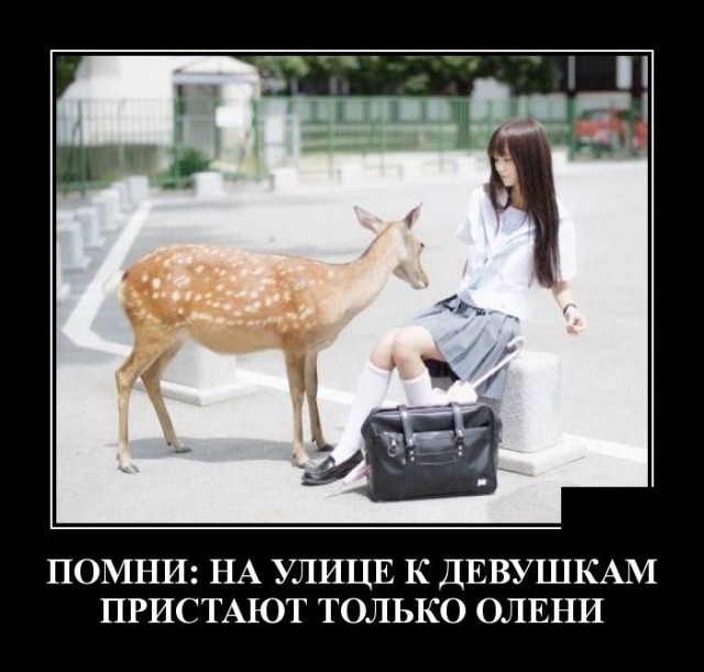 Демотиваторы (30 фото) 24.01.2019