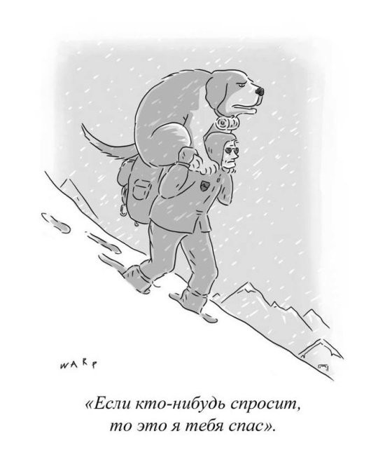 Картинки обо всем (44 фото)