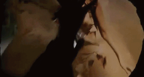 Прикольные гифки (20 гифок) 24.01.2019