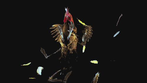 Прикольные гифки (20 гифок) 24.01.2019