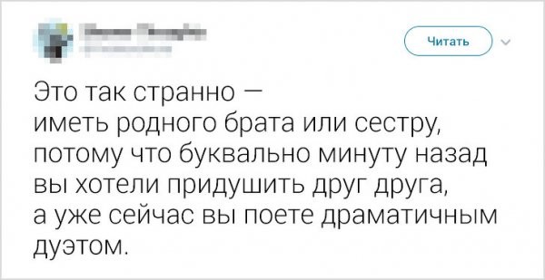 Братья и сестры, у которых от любви до ненависти отделяет полшага (17 скриншотов)