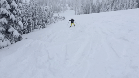 Неудачные трюки на лыжах и сноубордах (17 гифок)