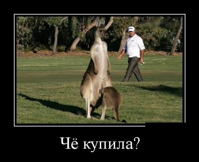 Демотиваторы (30 фото) 30.01.2019