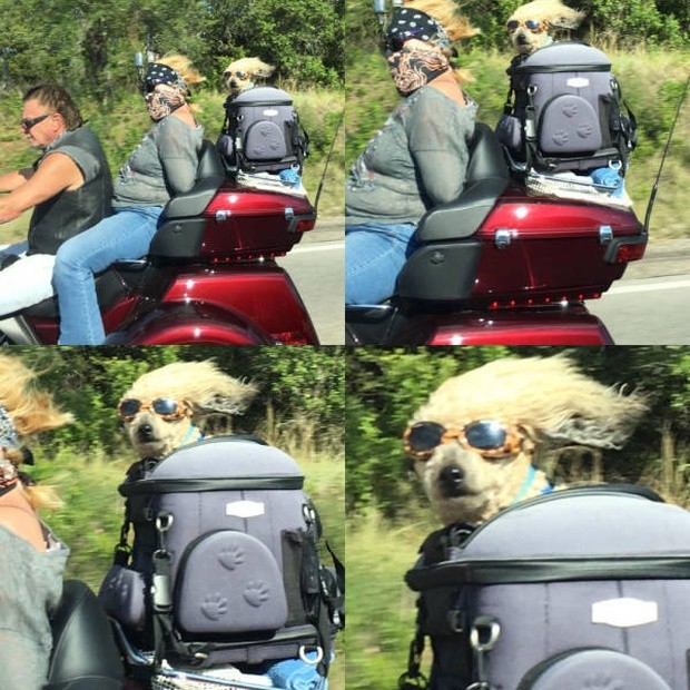 Прикольные картинки (42 фото) 30.01.2019