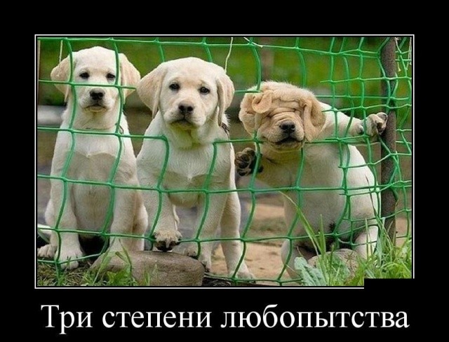 Демотиваторы (30 фото) 30.01.2019