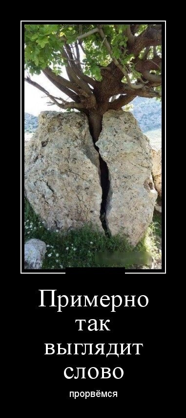 Демотиваторы (30 фото) 30.01.2019