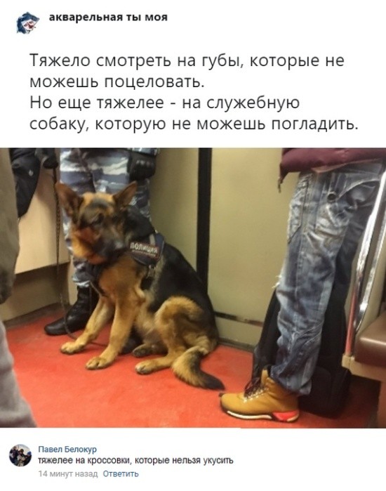 Прикольные картинки (42 фото) 30.01.2019