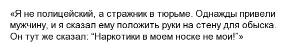 Фразы, которые не следовало бы говорить полицейским (15 фото)