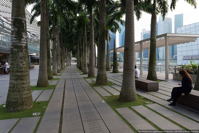Сингапур лучший город в мире (35 фото)