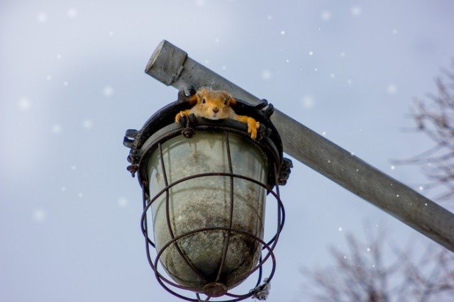 Прикольные картинки (43 фото) 08.02.2019