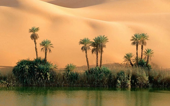 Непредсказуемые пустыни (14 фото)