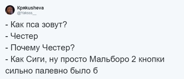 Пользователи сети рассказали о самых странных кличках (14 скриншотов)