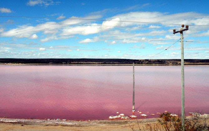 Озеро розового цвета (15 фото)
