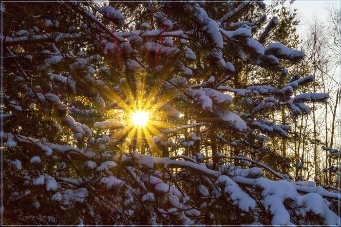 С чем связано, что солнце зимой светит, но не греет? (3 фото)