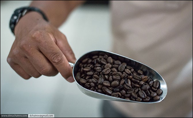 Про самый дорогой в мире кофе (14 фото)
