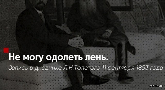 Уровень продуктивности - Лев Толстой (7 фото)