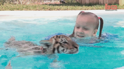 Прикольные гифки (25.02.2019)