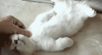 Прикольные гифки (25.02.2019)