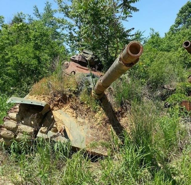 Природу не остановить (19 фото)