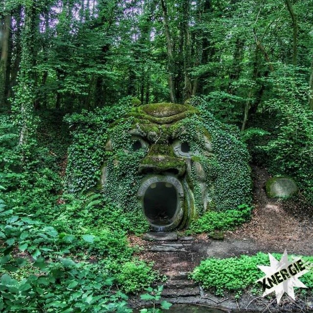 Природу не остановить (19 фото)