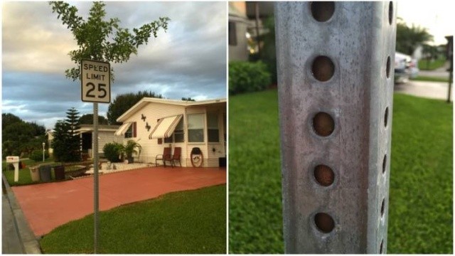 Природу не остановить (19 фото)