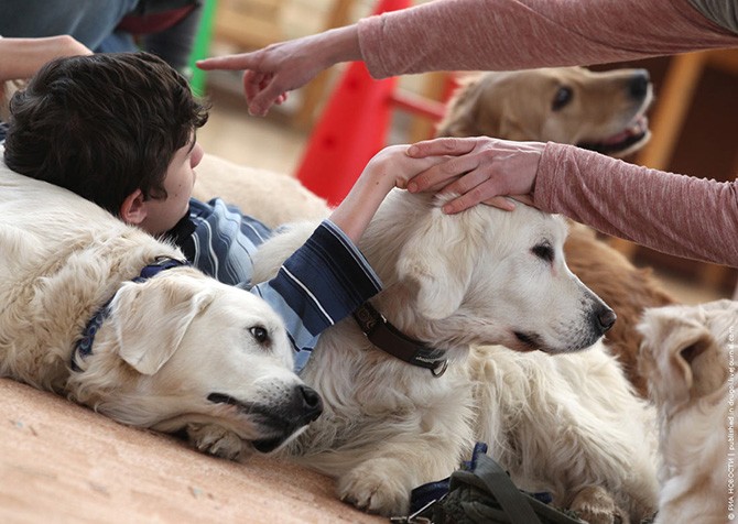Канис-терапия – как собаки помогают больным детям (12 фото)