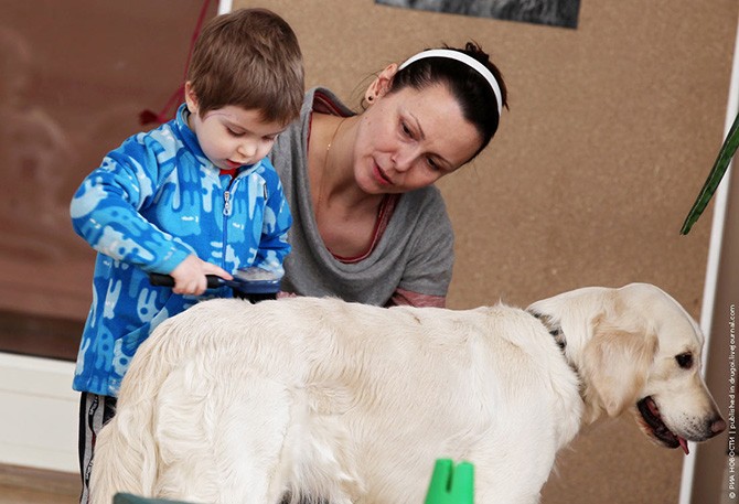 Канис-терапия – как собаки помогают больным детям (12 фото)