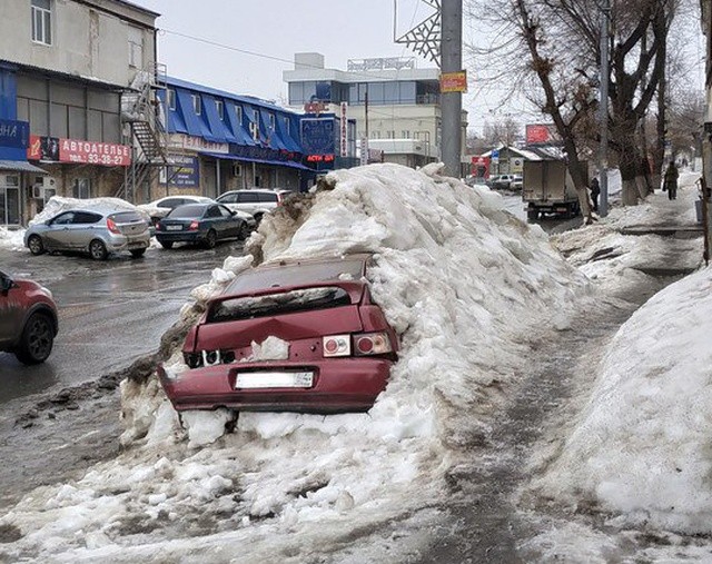 Весна в Саратове и первые "подснежники" (2 фото)