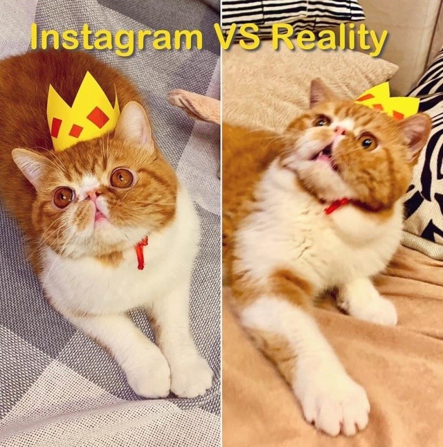 У каждого идеального снимка в Instagram есть своя "обратная сторона" (19 фото)