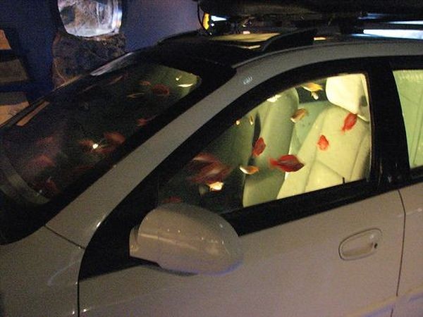 Аквариум внутри автомобиля (9 фото)