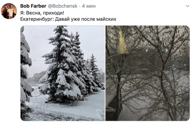 Подборка прикольных фото (40 фото) 30.04.2019