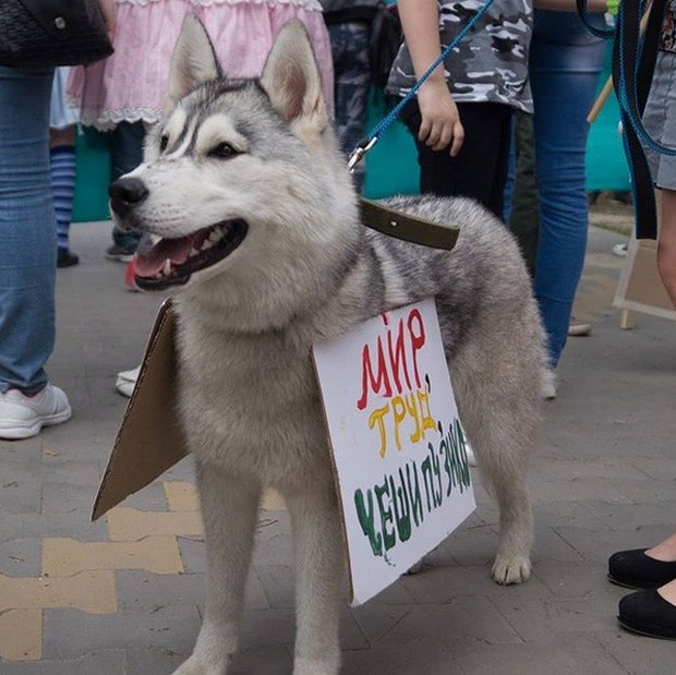 "Монстрация-2019": 1 мая в России (29 фото)