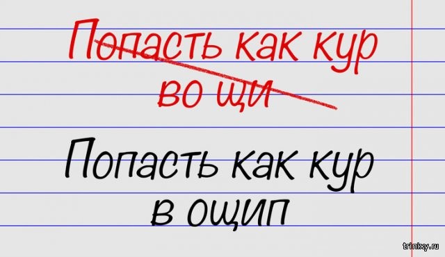 15 выражений, в которых многие совершают ошибки (15 фото)