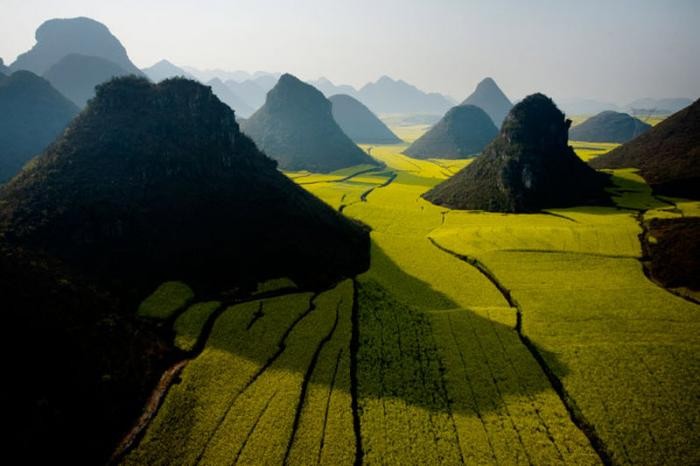 Цветение рапса в Китае (15 фото)